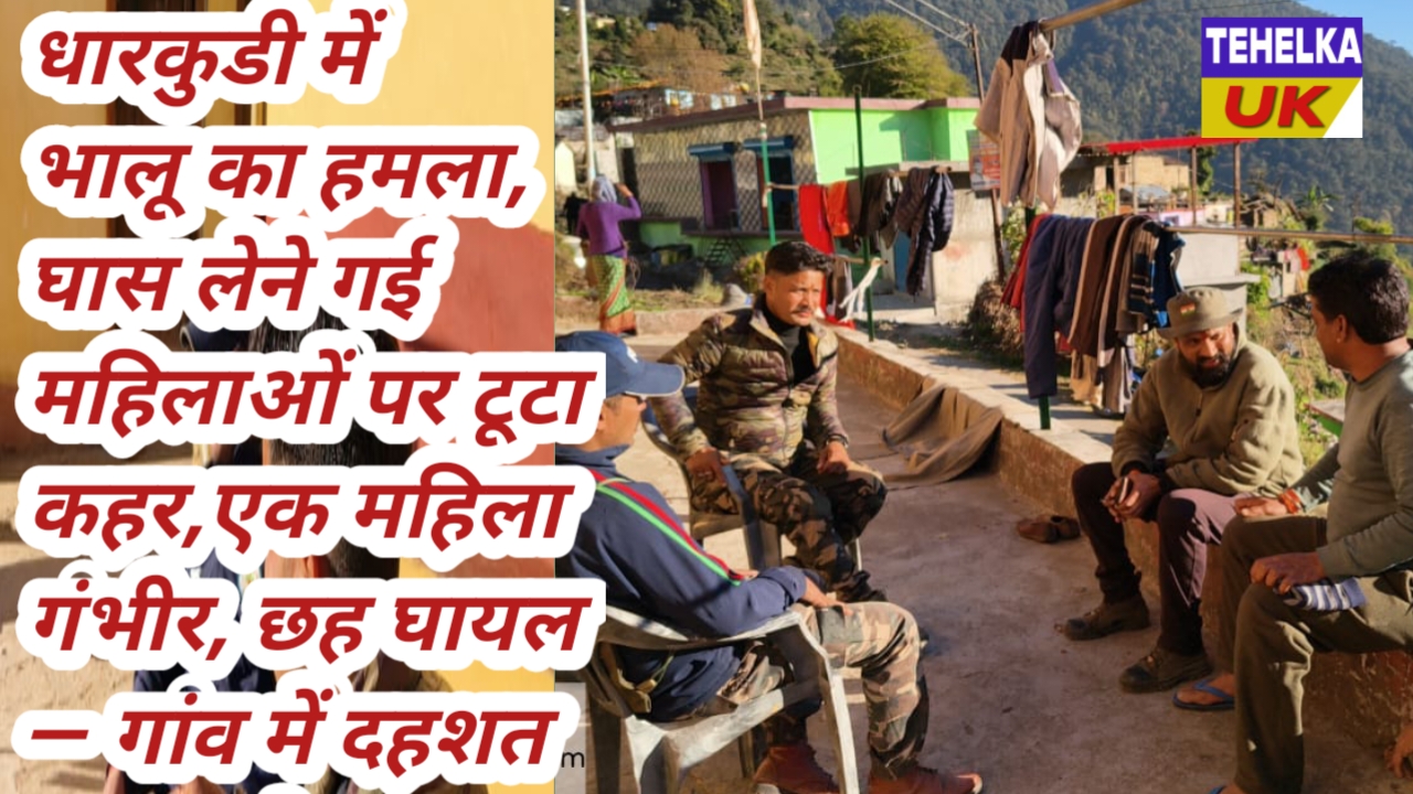 धारकुडी में भालू का हमला, घास लेने गई महिलाओं पर टूटा कहरएक महिला गंभीर, छह घायल — गांव में दहशत का माहौल