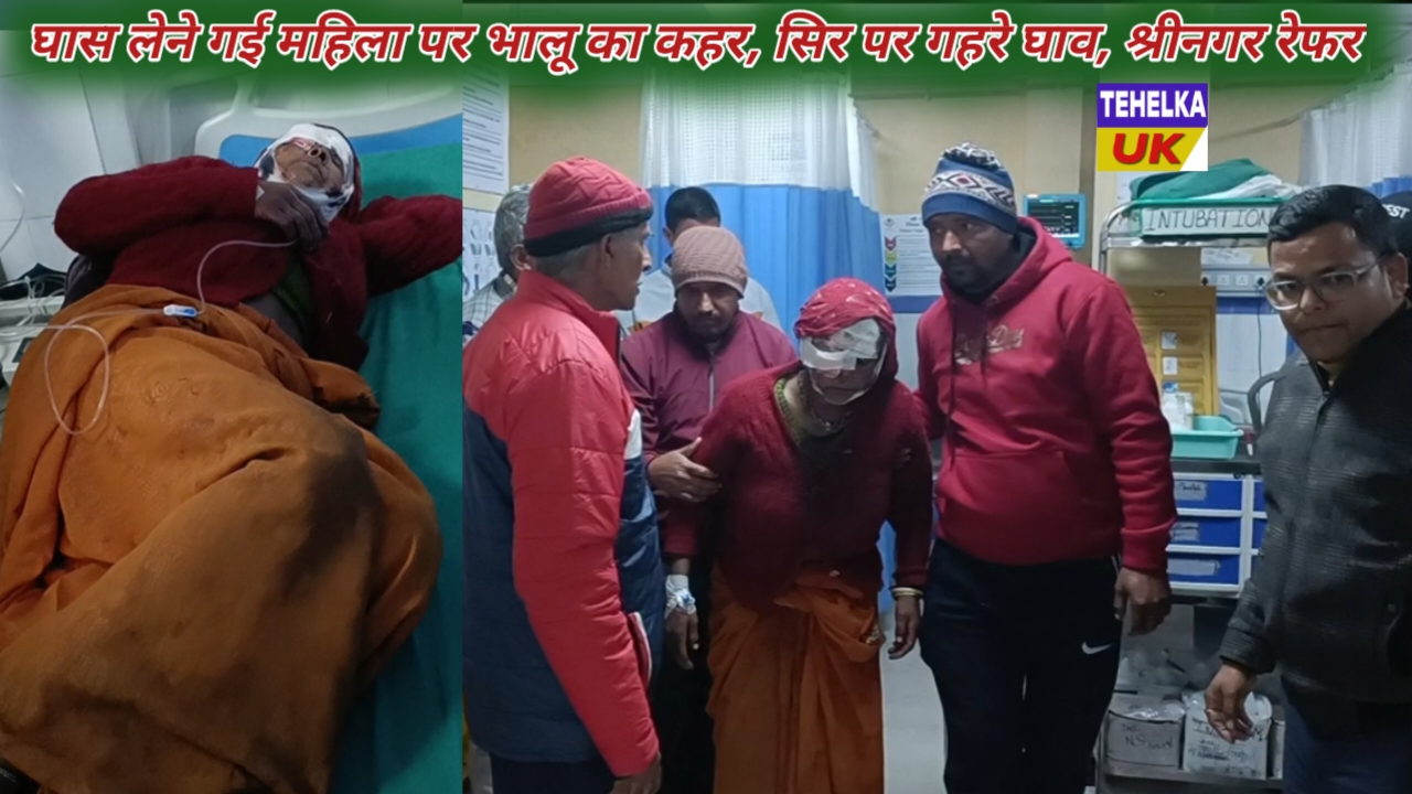 केदारघाटी में फिर भालू का कहर, बुजुर्ग महिला गंभीर रूप से घायल; अस्पताल व्यवस्था पर ग्रामीणों में भारी नाराज़गी