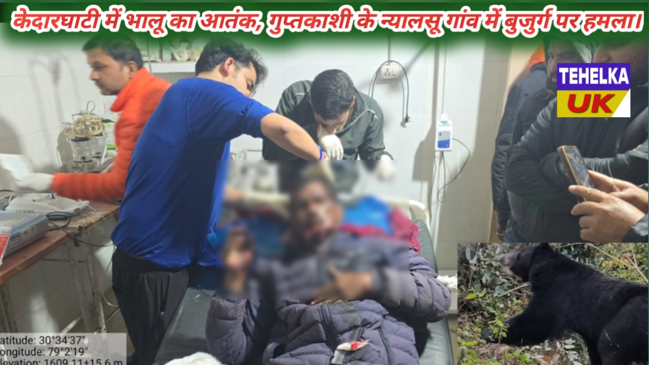 केदारघाटी में भालू का आतंक, गुप्तकाशी के न्यालसू गांव में बुजुर्ग पर हमला।