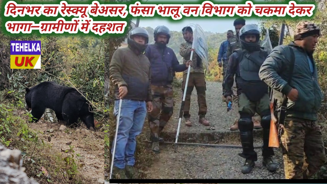 थाती गांव में भालू से दहशत, ग्राम प्रधान व सरपंच ने उठाई सुरक्षा की मांग,जंगल में भागे भालू को लेकर वन विभाग पर सौंपी जिम्मेदारी,भालू की लोकेशन ट्रेस कर जल्द पकड़ने की मांग