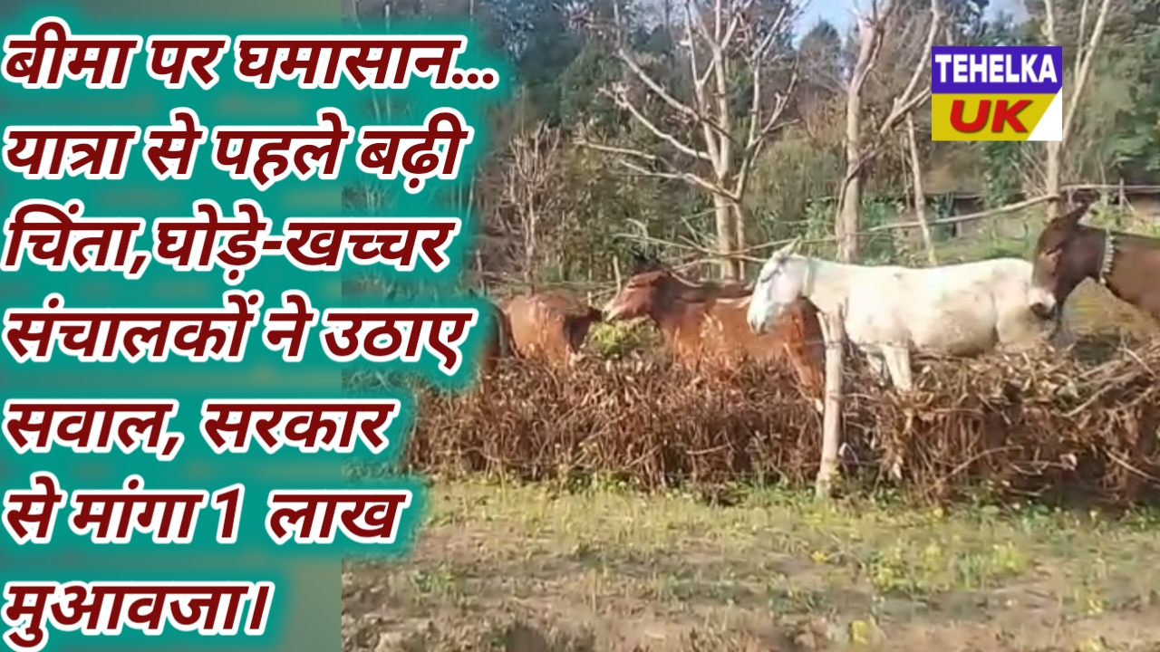 बीमा पर घमासान… यात्रा से पहले बढ़ी चिंता,घोड़े-खच्चर संचालकों ने उठाए सवाल, सरकार से मांगा 1 लाख मुआवजा।